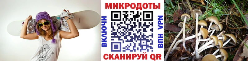 Галлюциногенные грибы MAGIC MUSHROOMS  Сибай 